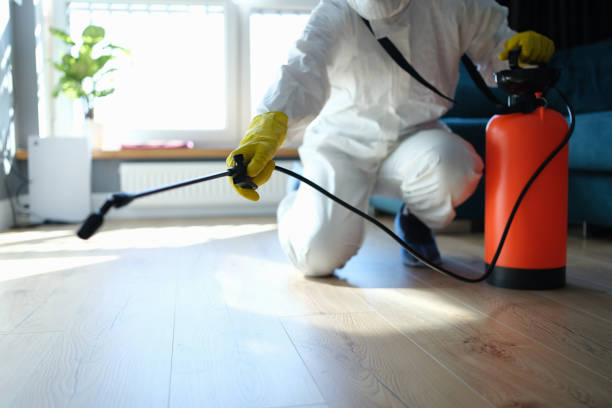 Reliable Sewage Cleanup contractor in Junction City, KY by Trauma Clean Pros